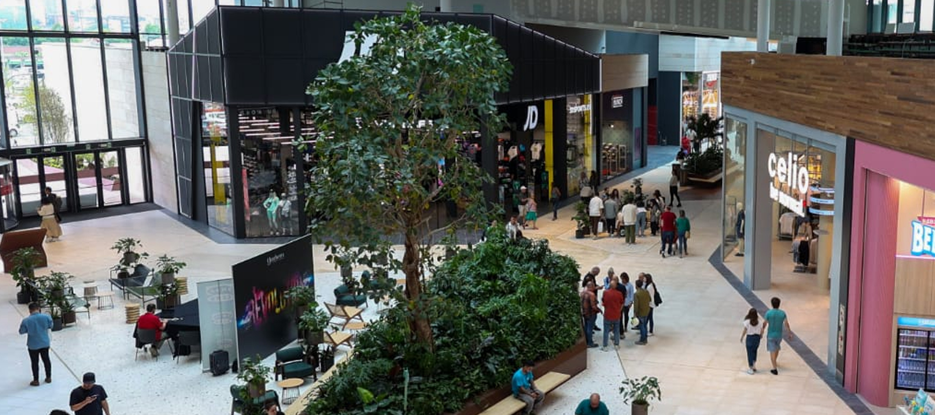Reforma en Celio Garbera